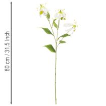 Prodotto Fiore artificiale Gloriosa, bianco e giallo, elegante ramo fiorito decorativo, 80 cm, 3 pezzi