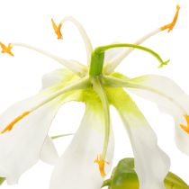 Prodotto Fiore artificiale Gloriosa, bianco e giallo, elegante ramo fiorito decorativo, 80 cm, 3 pezzi