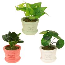 Prodotto Piante verdi artificiali mini piante in vaso 15cm 3pz