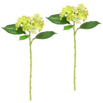 Prodotto Ortensie Artificiali Fiori Verdi Foglie L43cm 2pz