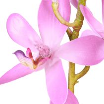 Prodotto Orchidee artificiali 8 fiori viola Ø3,5cm–5cm 2pz