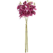 Prodotto Orchidee artificiali fiori artificiali viola come veri 56 cm 3 pezzi