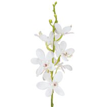 Prodotto Orchidee artificiali fiore bianco Ø3,5–5cm L38cm 2pz