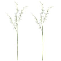 Prodotto Ramo di orchidea artificiale fiori bianchi crema L90cm 2 pezzi