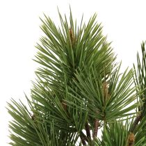 Prodotto Rami di pino artificiali rami di Natale verdi 53cm 3 pezzi