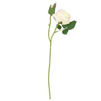 Prodotto Rose artificiali Mazzo di fiori artificiali Crema 36cm 12pz