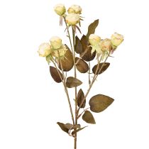 Prodotto Rose artificiali appassite Drylook 9 petali panna 69cm