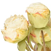 Prodotto Rose artificiali appassite Drylook 9 petali panna 69cm
