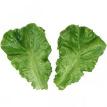 Lattuga artificiale foglie di lattuga manichino alimentare 16 cm × 12 cm