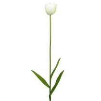Tulipani artificiali Bianco-Verde 86cm 3 pezzi