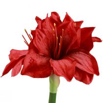 Prodotto Amaryllis artificiale Fiori di Natale Fiori artificiali rossi L40 cm