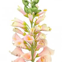 Fiore artificiale perenne salmone artificiale fiore stelo fiore H90cm