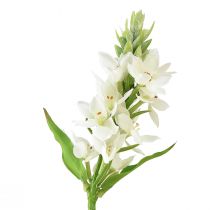Fiore artificiale stella di latte bianca 50 cm