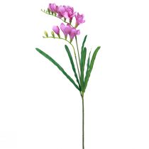 Prodotto Fiori artificiali da giardino fresia viola 58 cm