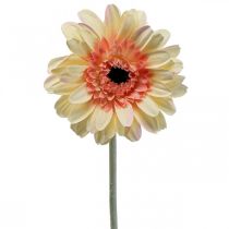 Prodotto Gerbera artificiale fiore artificiale fiore albicocca Ø11cm L50cm