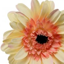 Prodotto Gerbera artificiale fiore artificiale fiore albicocca Ø11cm L50cm