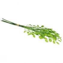 Prodotto Erba artificiale decorativa verde tremante da 47 cm, fascio di 3 pezzi