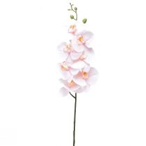 Prodotto Orchidea artificiale rosa Phalaenopsis Real Touch 83 cm