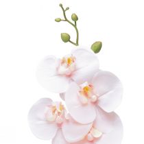 Prodotto Orchidea artificiale rosa Phalaenopsis Real Touch 83 cm