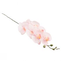 Prodotto Orchidea artificiale rosa Phalaenopsis Real Touch 83 cm