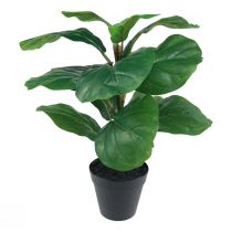 Prodotto Pianta artificiale in vaso Ficus pianta artificiale in vaso 42 cm
