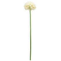 Prodotto Cipolla ornamentale bianca allium artificiale crema Ø18cm L90cm