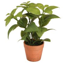 Prodotto Basilico artificiale in vaso Vaso per erbe aromatiche Pianta artificiale 22 cm 2 pezzi