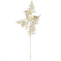 Prodotto Felce artificiale Asparagi asparagi felce oro 85 cm