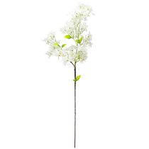 Prodotto Ramo di lillà artificiale Fiori bianchi L95cm