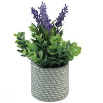 Prodotto Lavanda artificiale in vaso ceramica viola verde H22cm