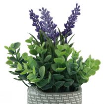 Prodotto Lavanda artificiale in vaso ceramica viola verde H22cm