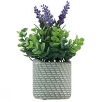 Prodotto Lavanda artificiale in vaso ceramica viola verde H22cm