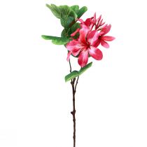 Prodotto Ramo di orchidea artificiale Bauhinia Pianta artificiale rosa 62 cm