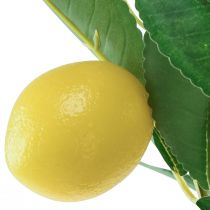 Prodotto Albero di limone artificiale in vaso Mediterraneo H58cm