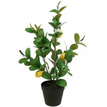 Albero di limone artificiale in vaso Albero di limone H65cm