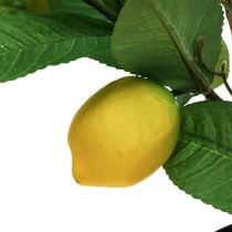 Prodotto Albero di limone artificiale in vaso Albero di limone H65cm