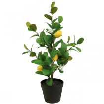 Prodotto Albero di limone artificiale in vaso, 65 cm, pianta decorativa, pianta artificiale
