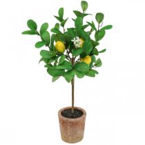 Prodotto Albero di limone artificiale, vaso da 58 cm, albero decorativo, stile mediterraneo