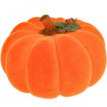 Deco zucca arancione grande Decorazione autunnale floccata Ø30cm