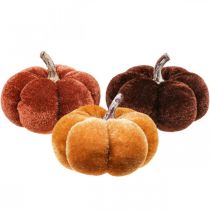 Decorazione da tavola decorazione autunnale zucche arancione marrone Ø6,5 cm 9 pezzi