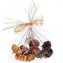 Prodotto Spina decorativa zucca decorativa arancione, marrone morbido Ø6,5m 9 pz