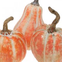 Mini zucca arancione decorazione autunnale assortita 7,5 / 9 / 11,5 cm 3 pezzi