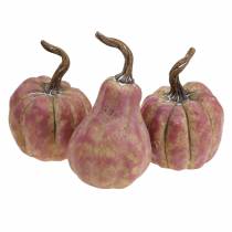 Prodotto Set mini zucca arancione, lilla Ø6,5–7 cm 6 pezzi