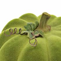 Prodotto Zucca decorativa floccata verde muschio 32cm