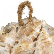 Prodotto Sfera decorativa gusci di lumaca conchiglie decorazione da appendere naturale Ø12cm
