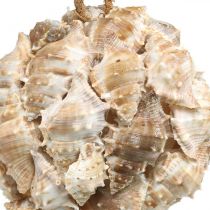 Prodotto Sfera decorativa gusci di lumaca conchiglie decorazione da appendere naturale Ø12cm