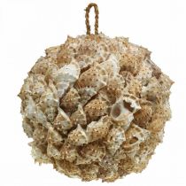 Prodotto Decorazione conchiglia palla lumache di mare Decorazione marittima da appendere Ø18cm