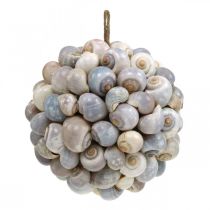 Prodotto Palla decorativa conchiglia di lumache di mare palla decorazione naturale marittima Ø19cm