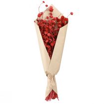 Prodotto Amaranto globoso (Gomphrena globosa), rosso, secco, 45 cm, 100 g