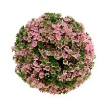 Prodotto Pianta decorativa a sfera verde rosa Ø15 cm 1 pezzo